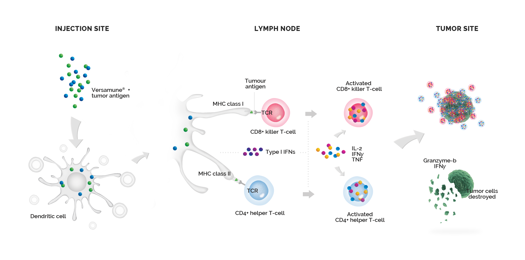 MOA Medical Illustrationgrey bg 3